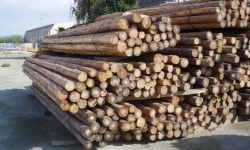 160 ROLLIZOS Y POSTES