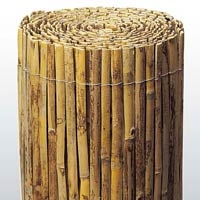 CAÑIZOS PARTIDOS