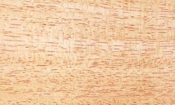 249.22 RECTANGULAR AYUS